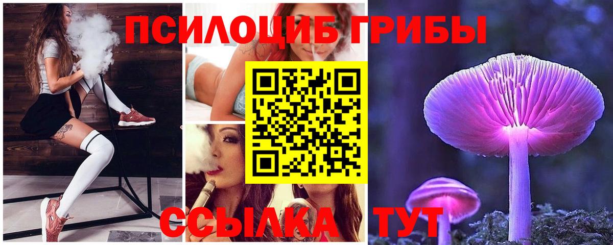 Псилоцибиновые грибы прущие грибы  Вход с VPN  Псилоцибиновые грибы мицелий  Чита 